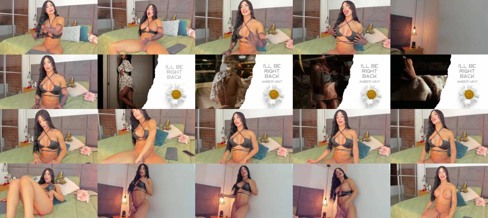 ambermint1  20-04-2023
